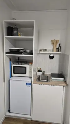 Cuisine ou kitchenette dans l'établissement Appartement paris 15