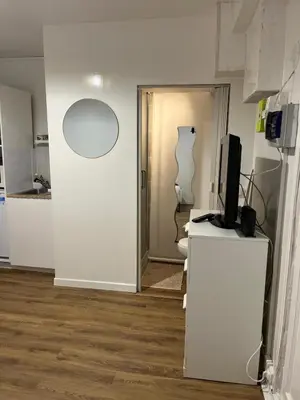 Cuisine ou kitchenette dans l'établissement Appartement paris 15