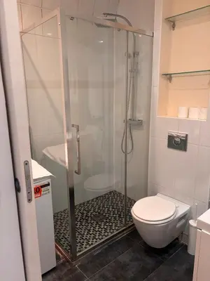 Salle de bains dans l'établissement Cozy Apartment - Boulogne-Billancourt