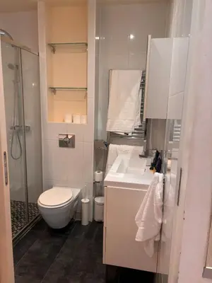 Salle de bains dans l'établissement Cozy Apartment - Boulogne-Billancourt