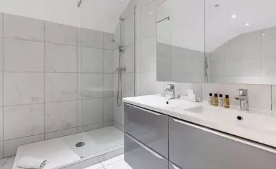 Salle de bains dans l'établissement Appartement Champs Elysées Berri