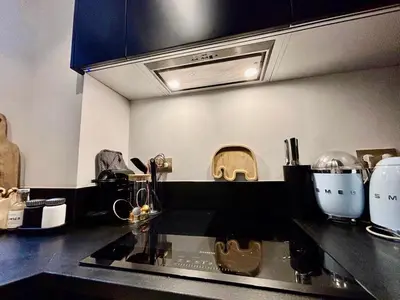 Cuisine ou kitchenette dans l'établissement Bel appartement meublé Art Déco 2 terrasses