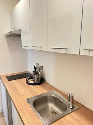 Cuisine ou kitchenette dans l'établissement Appartement familial - Porte Versailles