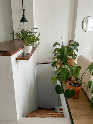 Plan de l'établissement Élégant et unique appartement 2 personnes