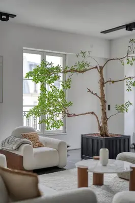 Coin salon dans l'établissement Appartement des Victoires Luxury