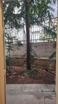 Jardin de l'établissement Studio Centre-ville, proche métro et Paris