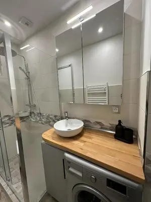 Salle de bains dans l'établissement Appartement rénové avec jardin et parking Métro ligne 14 à proximité, environnement calme