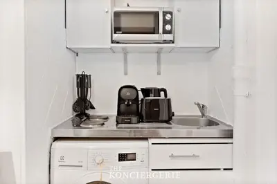 Cuisine ou kitchenette dans l'établissement Studio Raffine Quartier La Muette