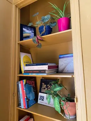 Bibliothèque dans l'appartement