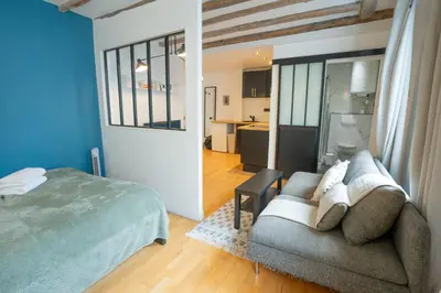 Cuisine ou kitchenette dans l'établissement Grand studio loft bien equipe a Paris 15 - 2P