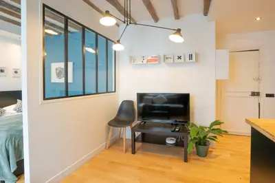 Télévision ou salle de divertissement dans l'établissement Grand studio loft bien equipe a Paris 15 - 2P