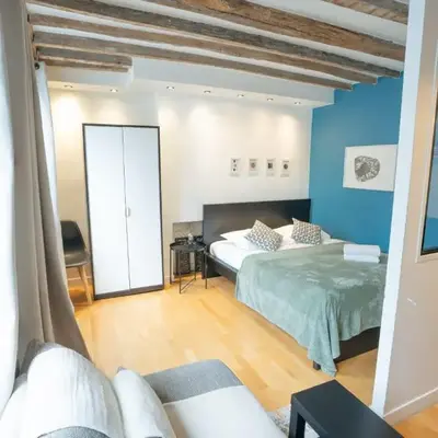 Grand studio loft bien equipe a Paris 15 - 2P
