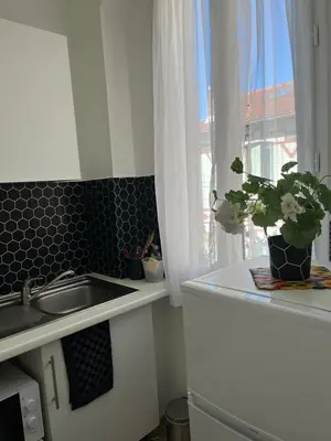 Cuisine ou kitchenette dans l'établissement Petit cocon à 10 min de Paris