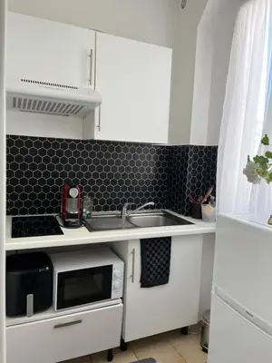 Cuisine ou kitchenette dans l'établissement Petit cocon à 10 min de Paris