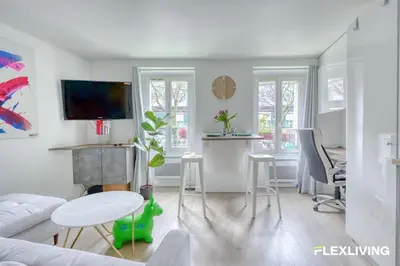 Télévision ou salle de divertissement dans l'établissement Magnifique T2 parisien élégant et lumineux