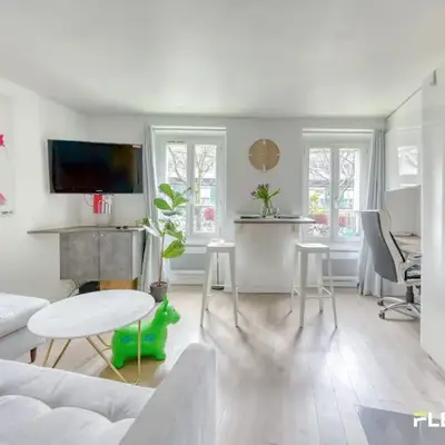 Beautiful and bright elegant Parisian 1-bedroom apartment
