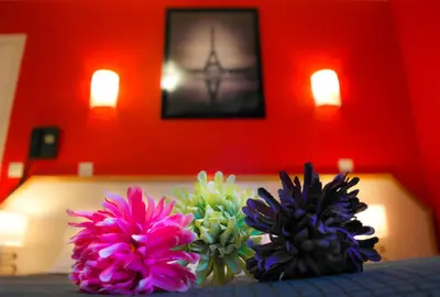 Plan de l'établissement Hotel Audran