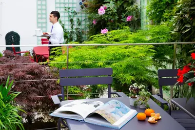 Jardin de l'établissement Hôtel Mistral