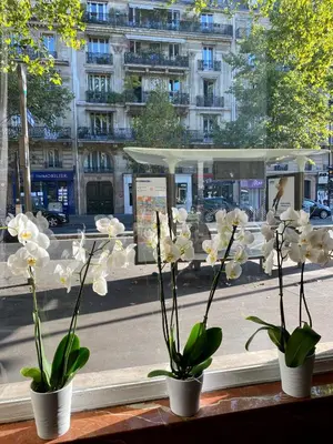 Plan de l'établissement Hotel Studia