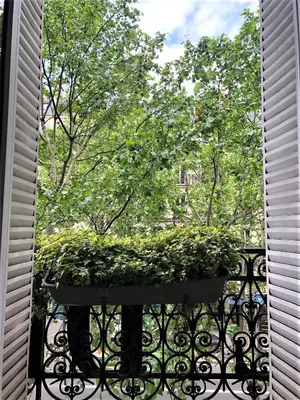 Jardin de l'établissement Hotel De Suez