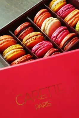 Nourriture dans l'hôtel ou à proximité
