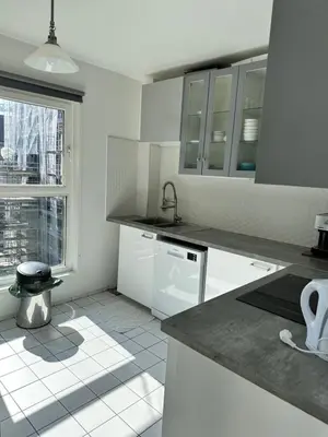 Cuisine ou kitchenette dans l'établissement Appartement Lumineux Accor Arena Paris 13