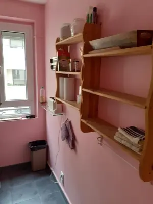 Cuisine ou kitchenette dans l'établissement Appartement Petroff