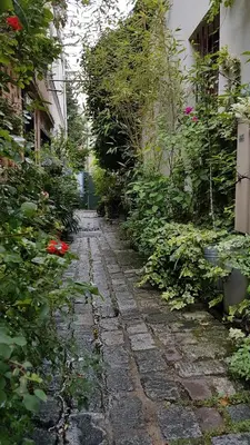 Jardin de l'établissement lapetitemaisondeparis