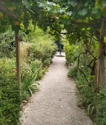 Jardin de l'établissement Chez vous - Marguerite et Emile