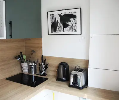 Cuisine ou kitchenette dans l'établissement 2 Pièces avec Balcon Plein Sud
