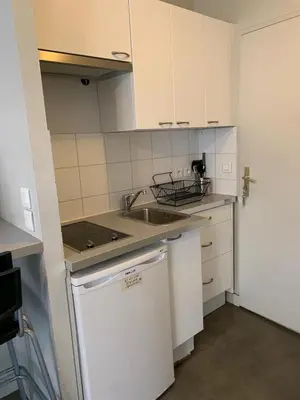 Cuisine ou kitchenette dans l'établissement Appartement cœur de la bastille