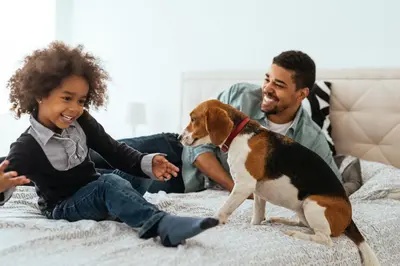 Animal ou animaux domestique(s) séjournant avec des clients dans l'établissement Citadines Place d'Italie Paris