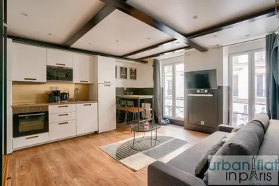 Cuisine ou kitchenette dans l'établissement 13 Luxury Flat eiffel design 2