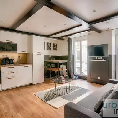 13 Luxury Flat eiffel design 2