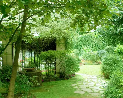 Jardin de l'établissement Abaca Messidor by Happyculture