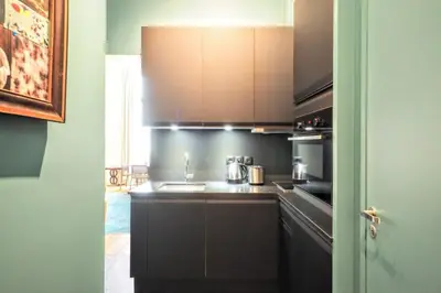 Cuisine ou kitchenette dans l'établissement Richelieu ChicSuites