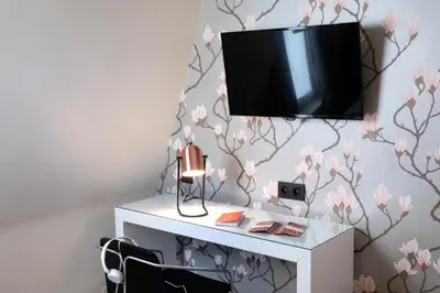 Télévision ou salle de divertissement dans l'établissement Hôtel Brady