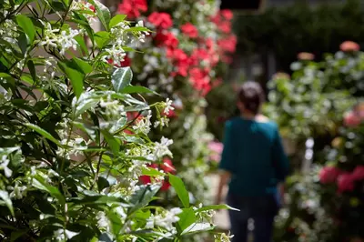 Jardin de l'établissement Le Vert Galant - Auberge Etchegorry