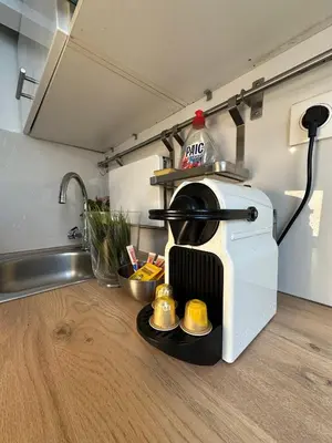 Cuisine ou kitchenette dans l'établissement Le Studio du Palais