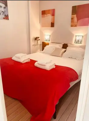 Un ou plusieurs lits dans un hébergement de l'établissement Saint Michel Quartier Latin With AC