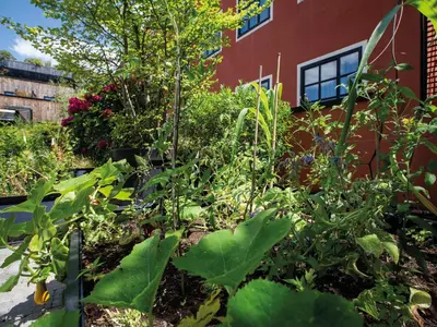 Jardin de l'établissement MOB HOTEL Paris Les Puces
