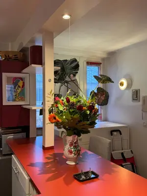 Cuisine ou kitchenette dans l'établissement Red Flat Paris