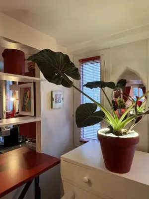 Plan de l'établissement Red Flat Paris