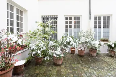 Jardin de l'établissement Charming Appartment in Le Marais