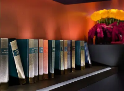 Bibliothèque dans l'hôtel