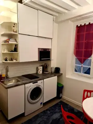 Cuisine ou kitchenette dans l'établissement Appartement au coeur du Paris.