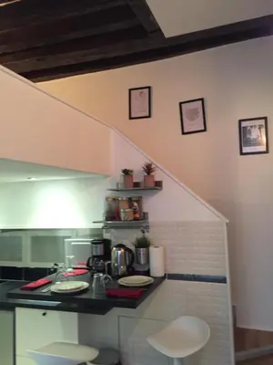 Cuisine ou kitchenette dans l'établissement Cosy Marais Paris