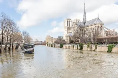 Vue sur la rivière ou le fleuve situé(e) à proximité de l'appartement