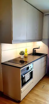 Cuisine ou kitchenette dans l'établissement Welcome to Paris