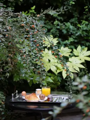 Nourriture dans l'hôtel ou à proximité